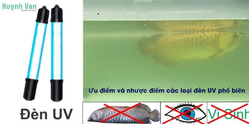 Ưu điểm và nhược điểm của các loại đèn UV phổ biến