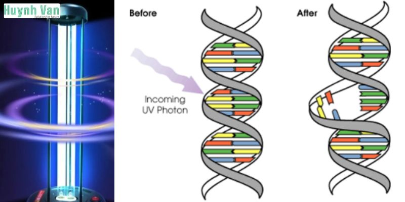Đèn UV là gì và hoạt động như thế nào?
