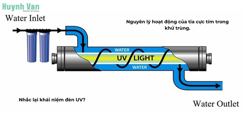 Nhắc lại khái niệm đèn UV? Nguyên lý hoạt động của tia cực tím trong khử trùng.