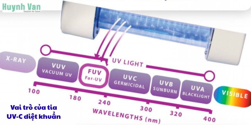 Vai trò của tia UV-C diệt khuẩn 