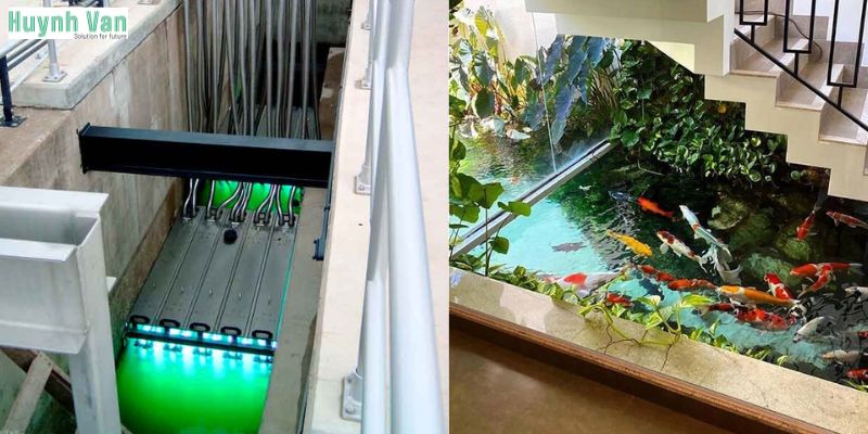Ứng dụng thực tế của đèn UV trong diệt tảo