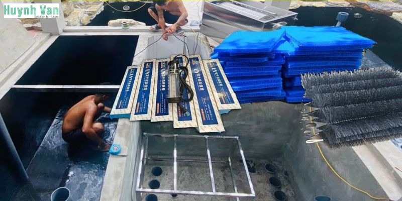 Lưu ý khi sử dụng đèn UV để diệt tảo