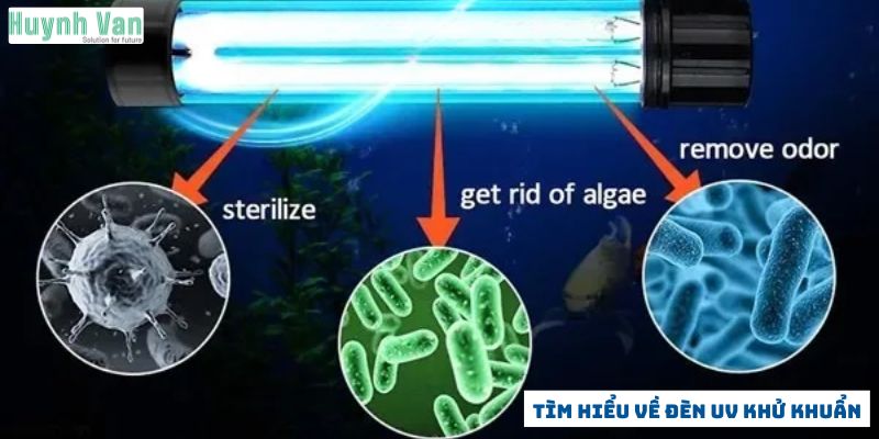 Tìm hiểu về đèn UV khử khuẩn và cơ chế hoạt động