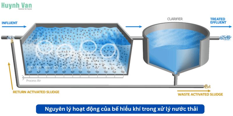 Nguyên lý hoạt động của bể hiếu khí trong xử lý nước thải