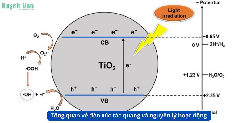 Tổng quan về đèn xúc tác quang và nguyên lý hoạt động