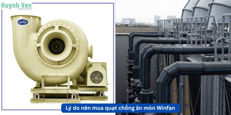 Lý do nên mua quạt chống ăn mòn Winfan tại Huỳnh Văn Solution
