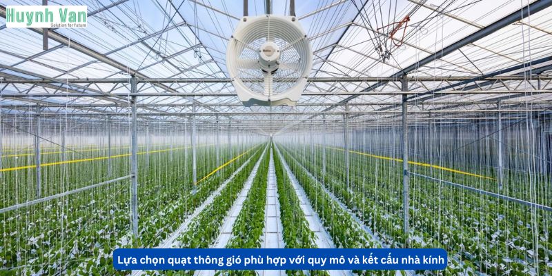 Lựa chọn quạt thông gió phù hợp với quy mô và kết cấu nhà kính