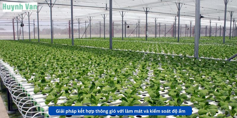 Giải pháp kết hợp thông gió với làm mát và kiểm soát độ ẩm