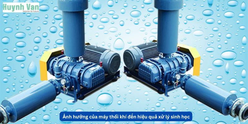 Ảnh hưởng của máy thổi khí đến hiệu quả xử lý sinh học