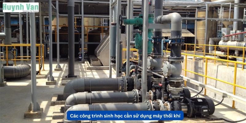 Các công trình sinh học cần sử dụng máy thổi khí