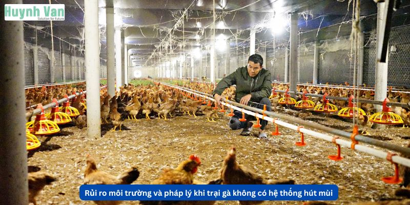 Rủi ro môi trường và pháp lý khi trại gà không có hệ thống hút mùi