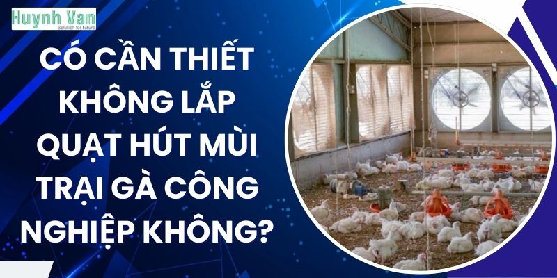 Có cần thiết không lắp quạt hút mùi trại gà công nghiệp không?