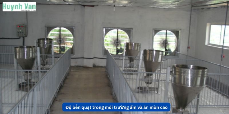 Độ bền quạt trong môi trường ẩm và ăn mòn cao